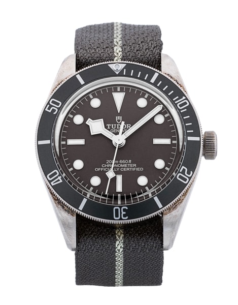Tudor Black Bay 58 M79010SG-0002